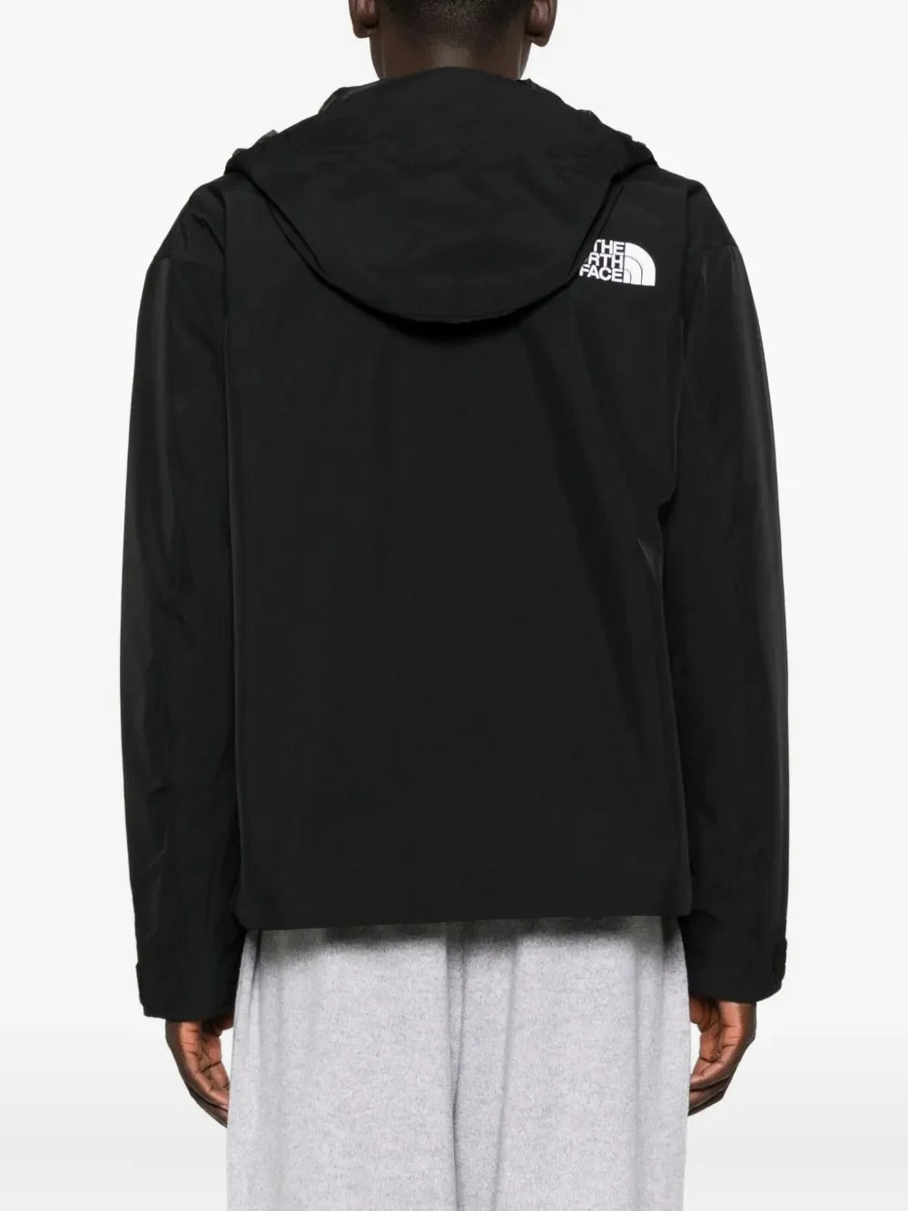 The North Face Men's GTX Mountain Jacket